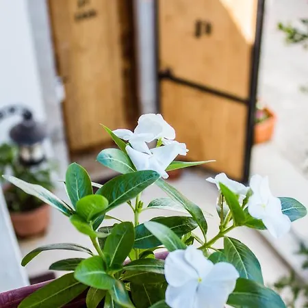 ホテル Petra Butik